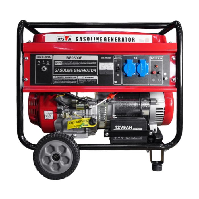 Генератор бензиновий 7.5 кВт Bison BS9500