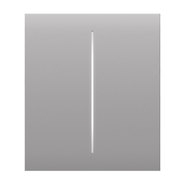 Кнопка Ajax CenterButton (2-gang) fog для двоклавішного вимикача