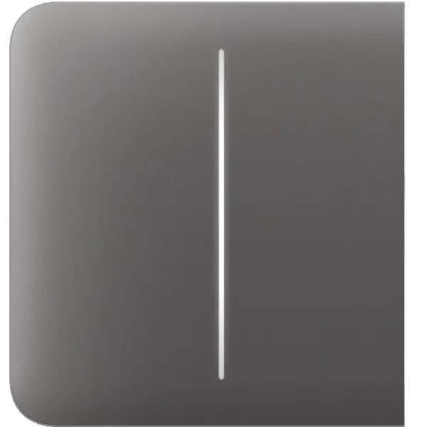 Ajax SideButton (2-gang) [55] grey Кнопка