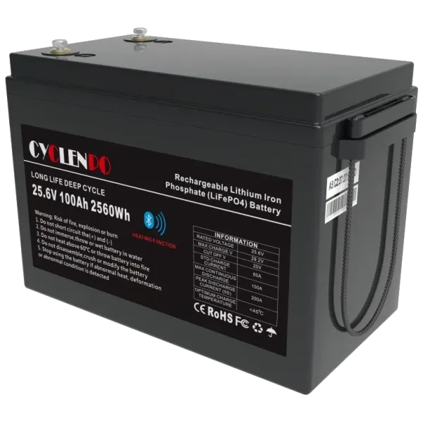 Cyclen 25.6В 100А•год 100А Літієва акумуляторна батарея