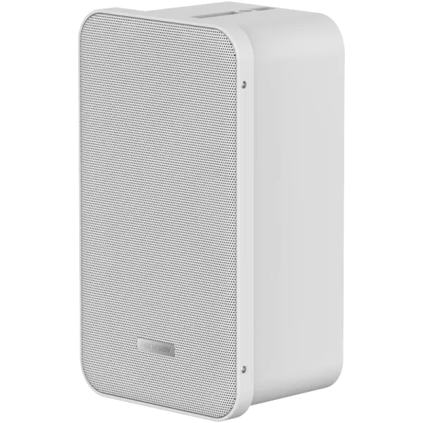 Hikvision DS-QAE0420G1-V Аналоговий динамік