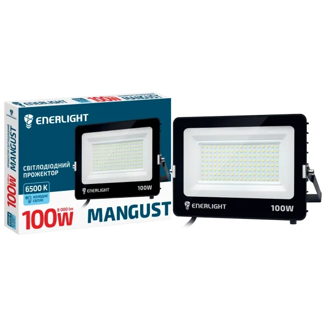 ENERLIGHT MANGUST Прожектор світлодіодний 100Вт 6500K