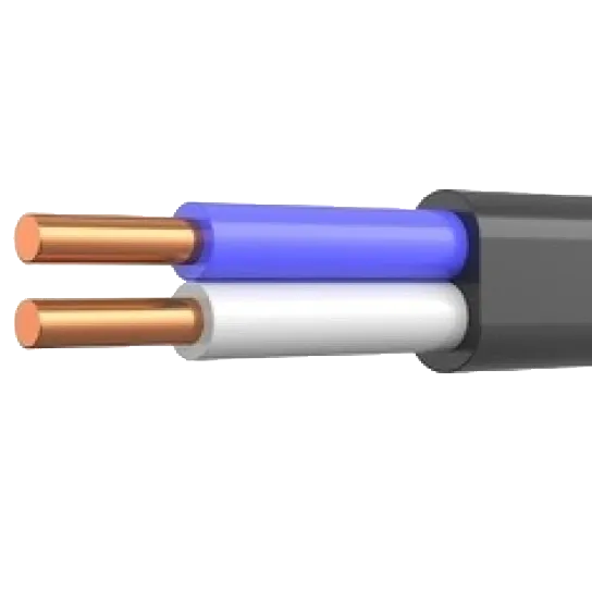 ВВГ нг LS П 2х2,5 чорний (Україна) (100м) Кабель
