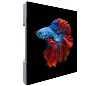 PHSA1.4-SH Модуль світлодіодного екрана