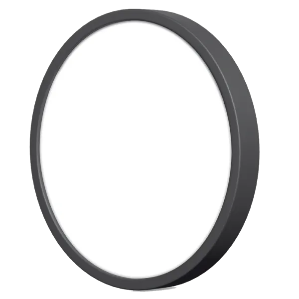 VIDEX 24W 5000K 220V LED світильник накладний круглий Black